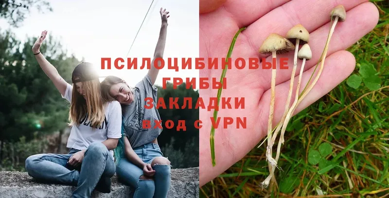 Галлюциногенные грибы Magic Shrooms  Шиханы 